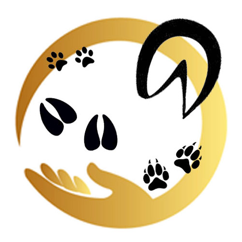 Ostéopathe animalier à Vichy - Frédérique Catteau